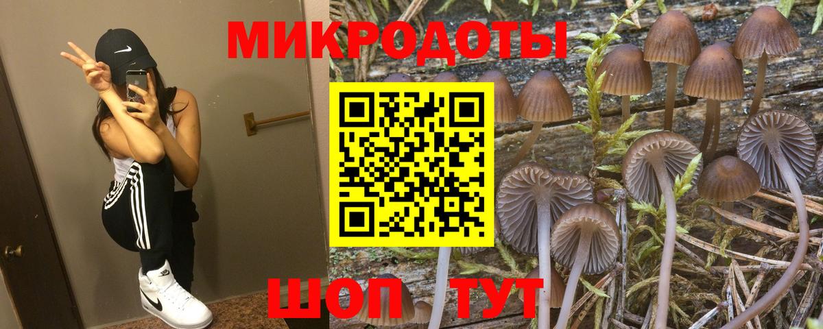 Псилоцибиновые грибы MAGIC MUSHROOMS Назрань