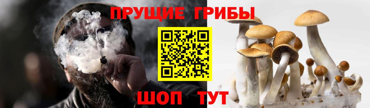 Галлюциногенные грибы ЛСД  Вход с VPN  как найти закладки  Назрань 
