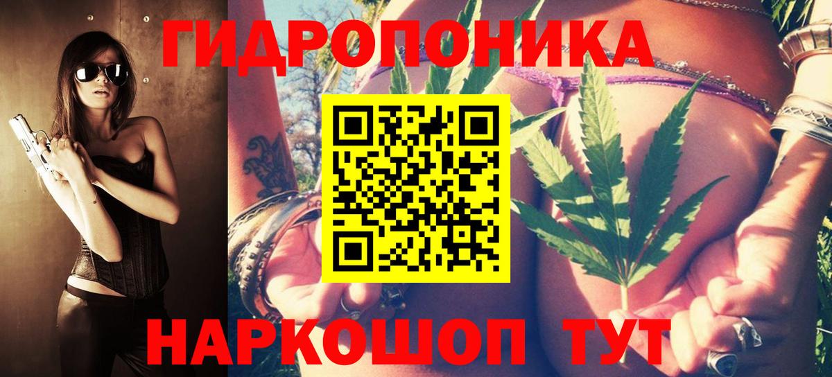 Канабис OG Kush  Бошки Шишки ГИДРОПОН  Вход с VPN  Назрань  Каннабис ГИДРОПОН 